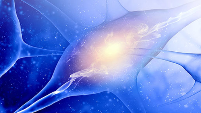 Forschung | Swiss Medical Network